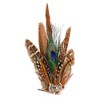 Northlight Peacock Feather Christmas Clip-On Ornament - 6" - Brown, White and Green - image 4 of 4