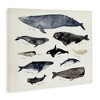Stupell Industries Vintage Nautical Chart of Whales Ocean Life Canvas Art, 20" x 16" - 2 of 4