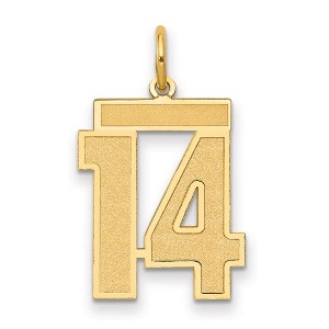 Black Bow Jewelry 14k Yellow Gold, Jersey Collection, Medium Number 14 Pendant - 1 of 3