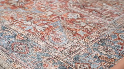 Red and Blue Medallion Flat Woven 8' x 10' Area Rug
