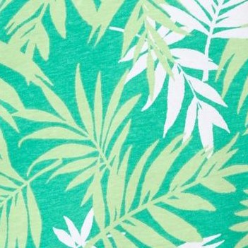 tropical palm leaf