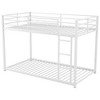 YOOCOZZ Metal Bunk Bed, Low Bunk Bed with Ladder - 2 of 4