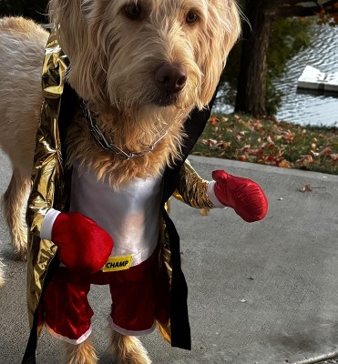 Guest review image 1 of 1, zoom in