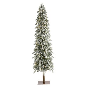 7.5ft Nearly Natural Pre-Lit LED Flocked Washington Alpine Slim Artificial Christmas Tree Warm White Lights - 1 of 4