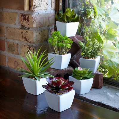 Set of 6 Small Green Plastic Potted Succulents