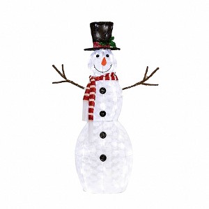 Novelty Lights LED Pre-Lit Yard Art Christmas Decoration - 1 of 4