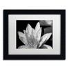 Trademark Fine Art -Kurt Shaffer 'Water Lily in Black and White' Matted Framed Art - 2 of 4