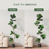 Artificial Fiddle Leaf Fig Tree with Black Nursery Planter, Fake Plant, Large Fake Tree Artificial Plants for Home or Office Decor - 3 of 4