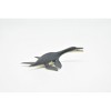 Collectible Wildlife Gifts | Dolichorhynchops Plesiosaur, Ancient Marine Animal  Very Nice Plastic Replica   3 1/8"   F4163 B374 - 4 of 4
