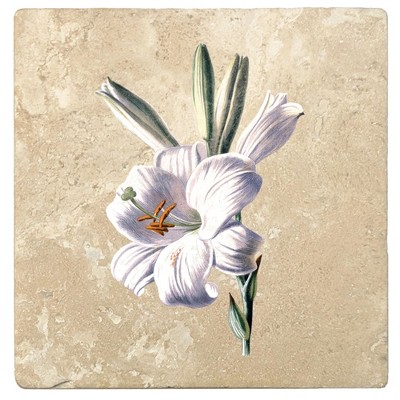 Christmas by Krebs Set of 4 Ivory and White Lily Square Coasters 4"