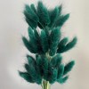 Alilang Dried Bunny Tail Grass Stems for Modern Home Decoration and Floral Arrangements, 23.5 Inches - 3 of 3
