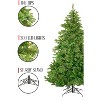 Perfect Holiday 6ft Prelit Tapered Salem Pine 1145 Tips, 350 Lights - 3 of 4