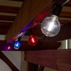 Novelty Lights 25 Feet G40 LED Patio String Light Set with 25 Bulbs, Weather Resistant Shatterproof Replaceable Globe Bulbs, Black Wire - 3 of 4