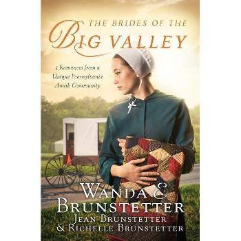 The Brides of the Big Valley - by  Wanda E Brunstetter & Jean Brunstetter & Richelle Brunstetter (Paperback)