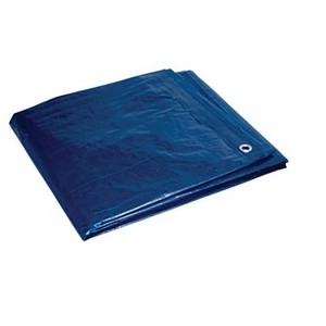 Foremost 10 ft. W X 12 ft. L Heavy Duty Polyethylene Tarp Blue - 1 of 1