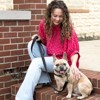Country Brook Petz Signature Dog Collar Collection - 2 of 4