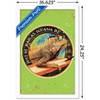 Trends International Jim Baldwin - Iguana Framed Wall Poster Prints - 3 of 4