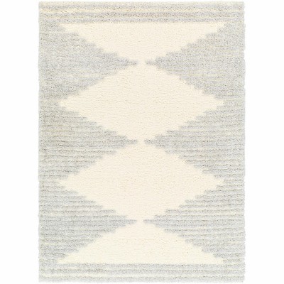Hauteloom Bayan Gray Plush Area Rug