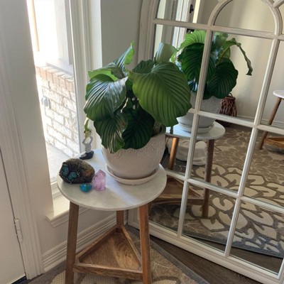 Guest review image 1 of 2, zoom in