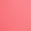 Vibrant Pink