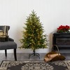 Nearly Natural 4' Pre-Lit LED Colorado Mountain Fir Artificial Christmas Tree Clear Lights - 4 of 4