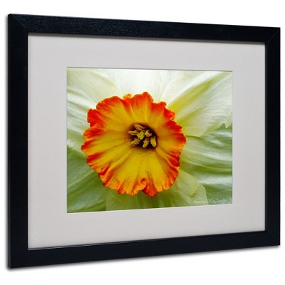 Trademark Fine Art - Kathie McCurdy 'Furnace Run Daffodil Large' Matted Framed