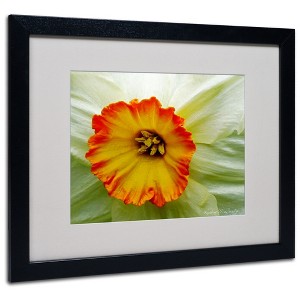 Trademark Fine Art - Kathie McCurdy 'Furnace Run Daffodil Large' Matted Framed - 1 of 3