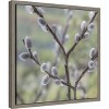 Amanti Art Willows I by Jaynes Gallery Danita Delimont Canvas Wall Art Print Framed 16 x 16-in. - 3 of 4