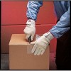 Showa  EA,Coated Gloves,White,8 910C-08 - 2 of 2