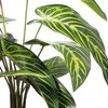 Vickerman 21" Green Alocasia in White Ceramic Pot. - 2 of 3