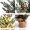 24 Inch Artificial Small Christmas Tree, 2 Ft Prelit Tabletop Mini Frosted Pine Tree with 50 LED Lights for Table Centerpiece Office Desk Decorations - 3 of 4