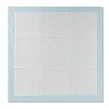 Puppy & Adult Dog Training Pads - 40ct - XXL - up & up™ - image 3 of 3
