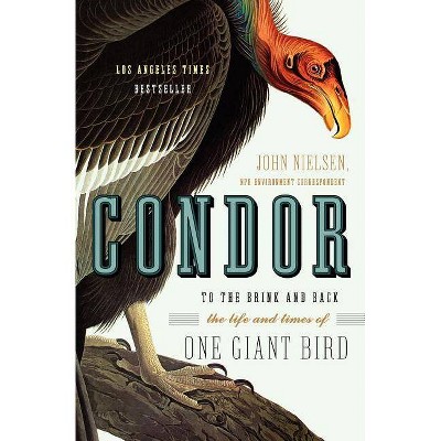 Condor - by  John Nielsen (Paperback)