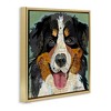 Stupell Industries Bernese Mountain Dog Collage Floating Frame Canvas Art - 2 of 4