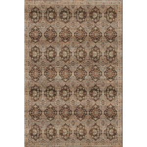 Fulvari 5X7 Area Rugs Machine Washable Rugs for Living Room,Vintage Boho Rugs for Bedroom Dining Room,Non Slip Indoor Soft Carpet,Beige - 1 of 4