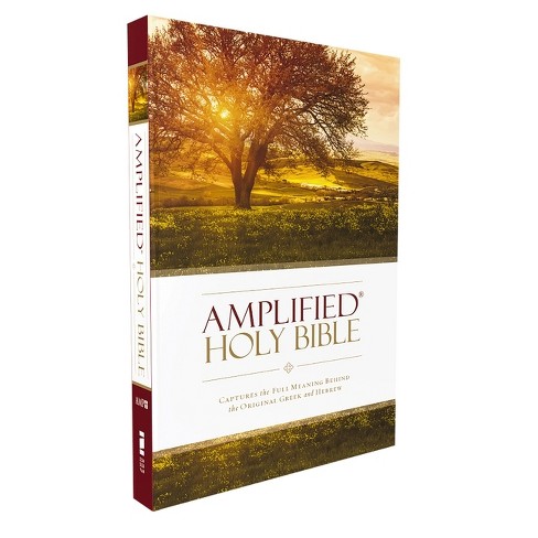 Amplified Bible-Am - by  Zondervan (Paperback) - image 1 of 1