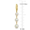 EVERLY JEWELRY | 10k Yellow Gold 6 - 8 MM Cultured Freshwater Pearl Drop Leverback Earrings - 3 of 4