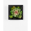 Hanging Succulent Box Wall Decor (Set of 6) - 3 of 3