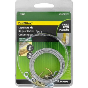 Hillman WallBiter Brass-Plated Silver Light Duty Picture Hook Kit 30 lb 5 pk (Case of 5) - 1 of 1