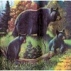 Avanti Black Bear Lodge Shower Curtain - 2 of 3