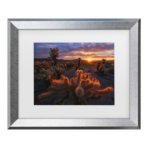 Inigo Cia Cholla Garden Matted Framed Art : Target