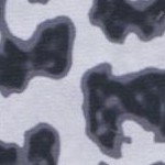ivory/black