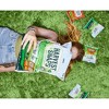 Harvest Snaps Baked Veggie Snacks - 6 ct