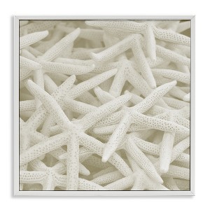 Stupell Industries Nautical White Starfish Photography Framed Giclee Art - 1 of 4