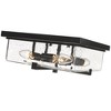 Sana Collection Outdoor Flush Mount Light - Black Glass, 4 Bulbs, Dimmable, 12" x 5" - 2 of 4