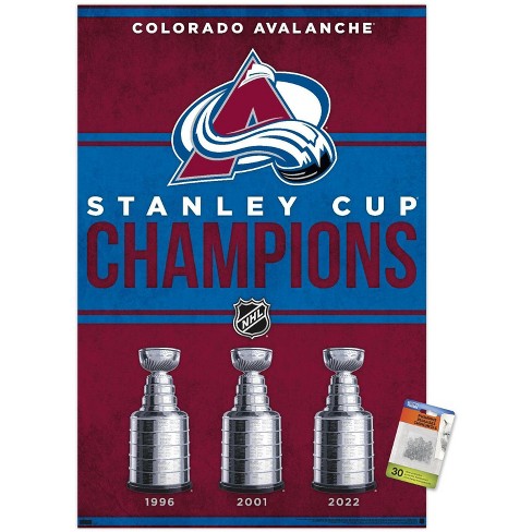 Colorado Avalanche 2022 Stanley Cup Champions Black Framed Jersey Display  Case