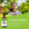 VIMERGY USDA Organic Lemon Balm Extract - 2 of 4