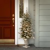 4' Prelit LED Flocked Sheffield Spruce Entrance Tree Twinkly Clear Lights - National Tree Company - 2 of 4