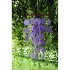 Woodstock Windchimes Aqua Capiz with Wood Beads  Wind Chimes For Outside  Wind Chimes For Garden  Patio  and Outdoor DÃƒÂ©cor  22"L - 3 of 4