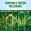 Roundup Weed Killer RTS Hose-End Concentrate 32 oz - image 2 of 3